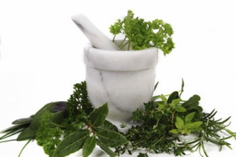 Herbal Remedies for Common Ailments